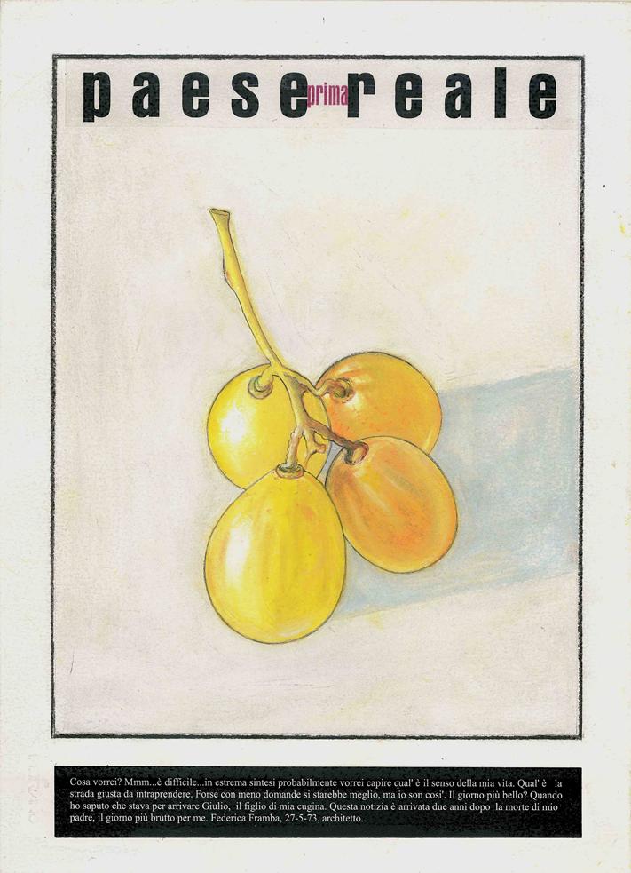 1008 Framba Federica